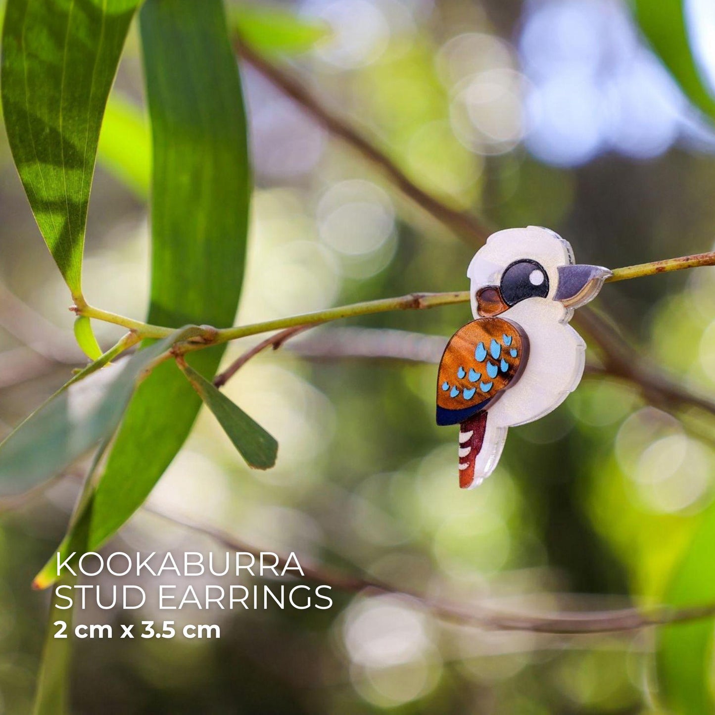 Kookaburra Studs - Statement Bird Earrings