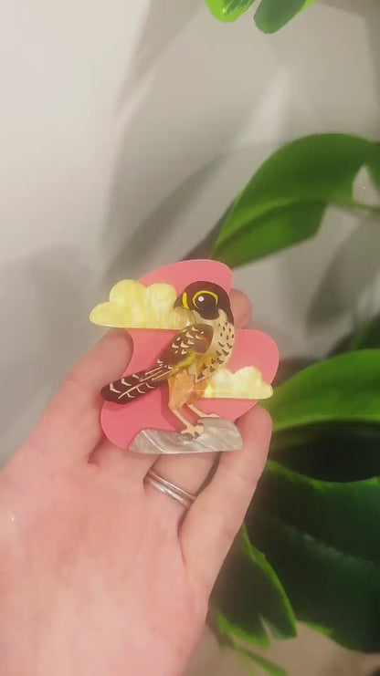 December 18 - Kārearea Brooch - 2025 Advent Calendar PREORDER