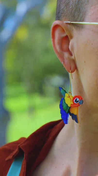 Sun Conure Acrylic Dangle Earrings - Handmade Bird Earrings