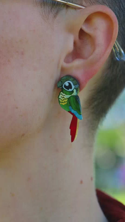 Green-Cheeked Conure Acrylic Stud Earrings - Handmade Bird Earrings