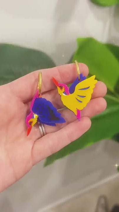 December 6 - Black-Backed Dwarf Kingfisher Hoops - 2025 Advent Calendar