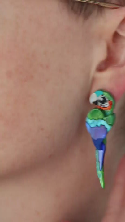 Harlequin Macaw Stud Earrings - Handmade Bird Earrings