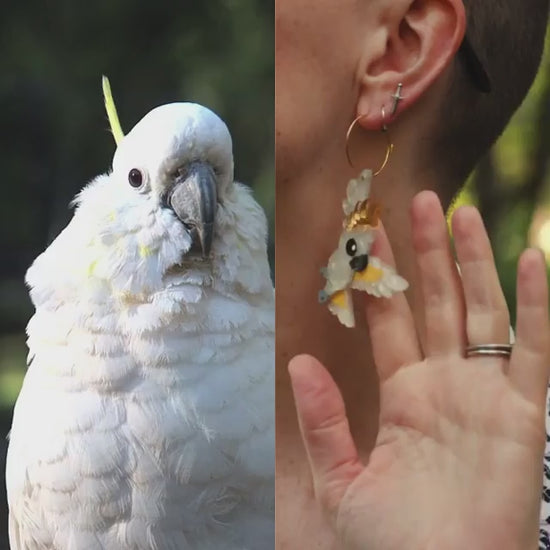 (Hover Video, don't delete) for product 9005639532856