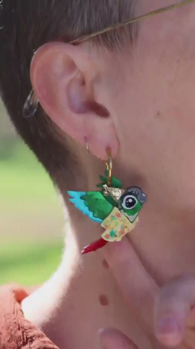 Birds in Bird Shirts - Green-Cheeked Conure Earrings - 2026 Birthday Collection