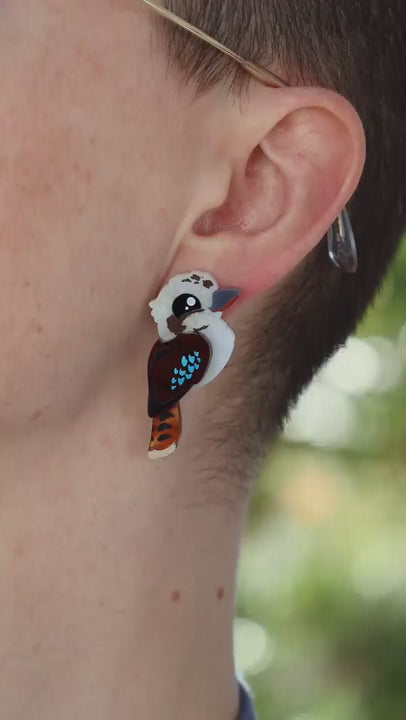 Kookaburra Stud Earrings - Acrylic Bird Earrings
