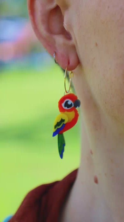 Sun Conure Acrylic Stud Earrings - Handmade Bird Earrings