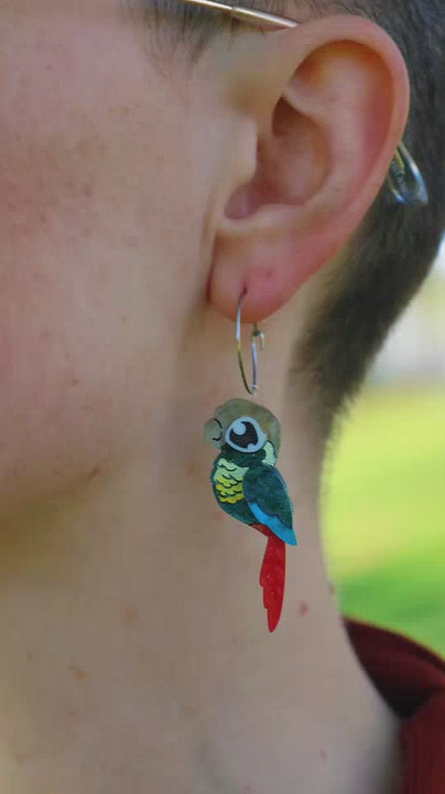 Turquoise Green-Cheeked Conure Acrylic Stud Earrings - Handmade Bird Earrings