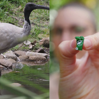 Ibis 'Bin Chicken' Bin Dangles - Statement Bird Earrings