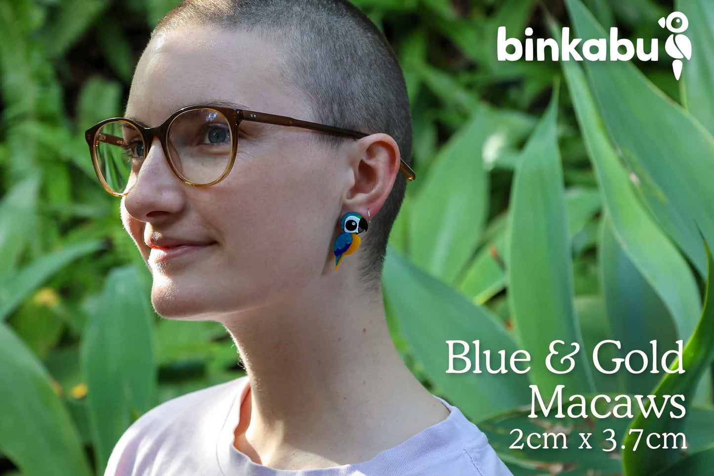 Blue and Gold Macaw Studs - Statement Bird Earrings